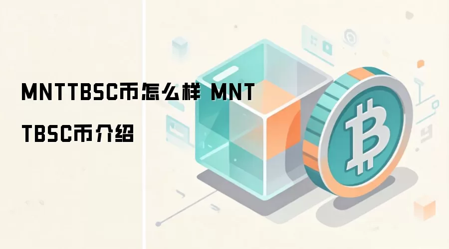 MNTTBSC币怎么样 MNTTBSC币介绍