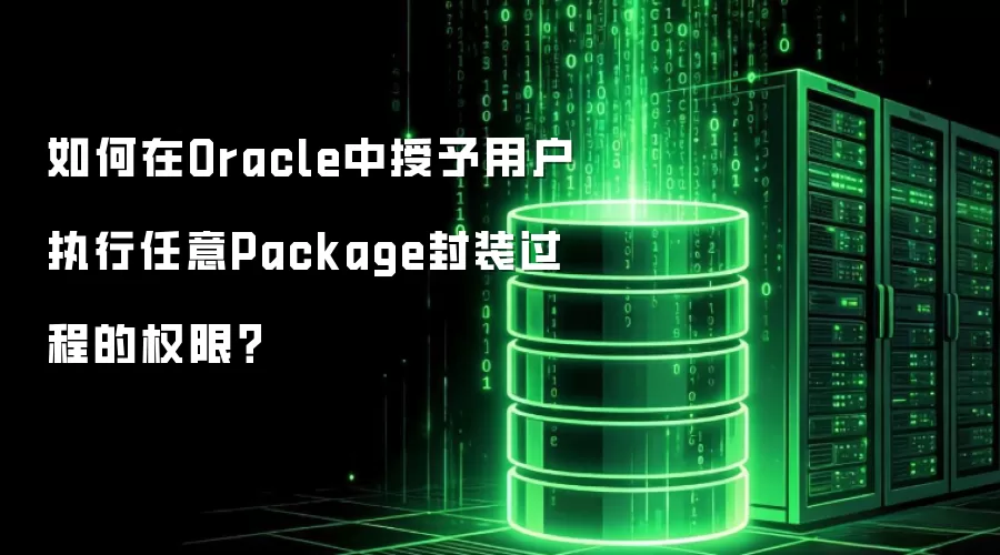 如何在Oracle中授予用户执行任意Package封装过程的权限?