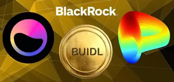 Curve与Elixir合作接入贝莱德BUIDL,推动RWA进入DeFi
