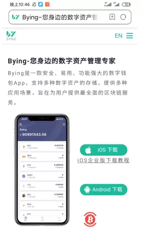 Bying Wallet 下载页面
