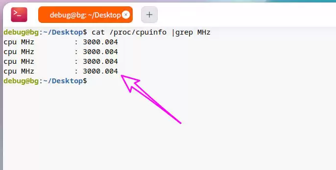 cpu主频怎么看? deepin20查看CPU主频的技巧