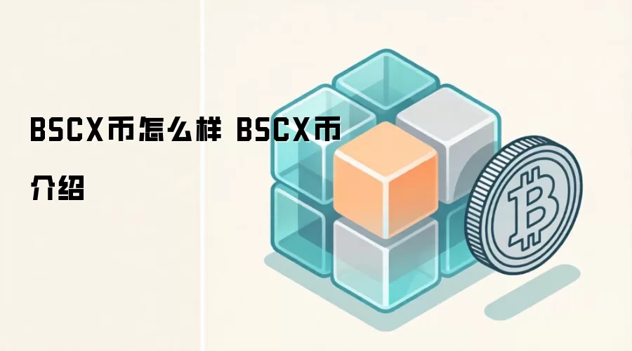 BSCX币怎么样 BSCX币介绍