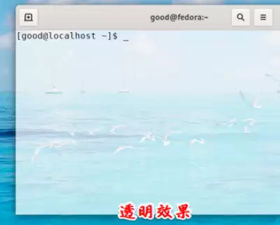 fedora终端怎么自定义透明效果? linux透明效果的设置方法