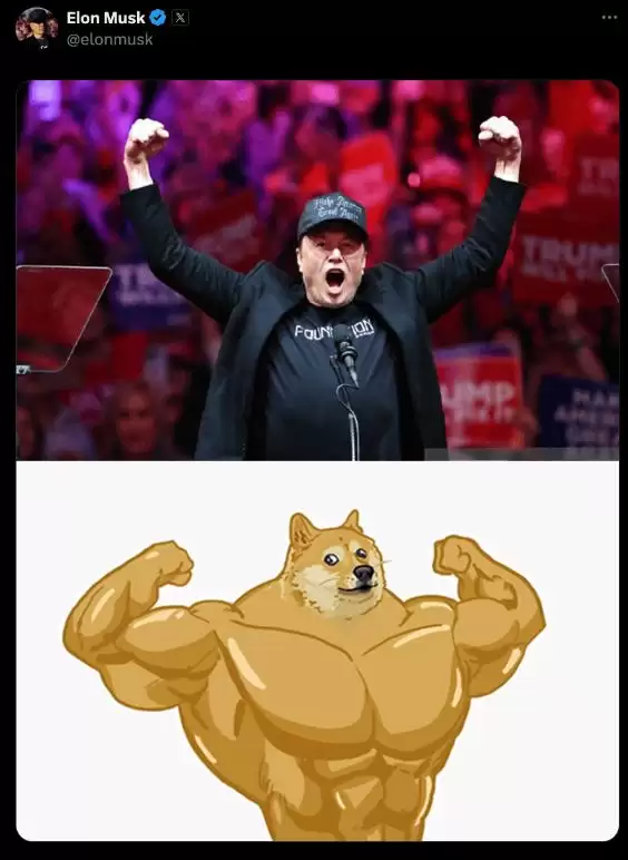 狗狗币DOGE情绪驱动分析图