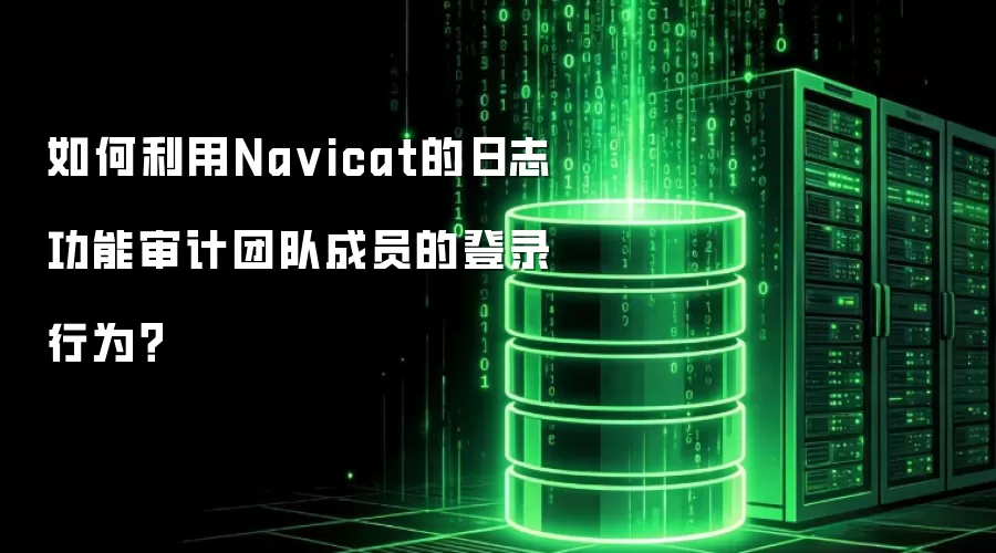 如何利用Na vicat的日志功能审计团队成员的登录行为？