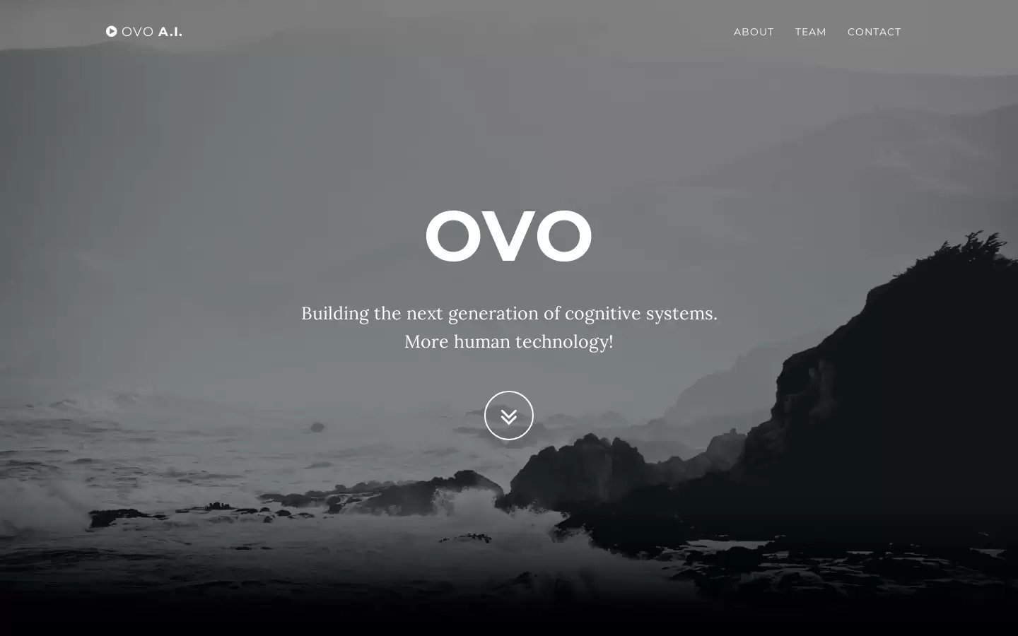 OVO A.I. : 下一代认知系统，更人性化的技术