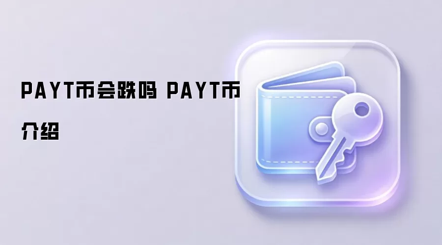 PAYT币会跌吗 PAYT币介绍
