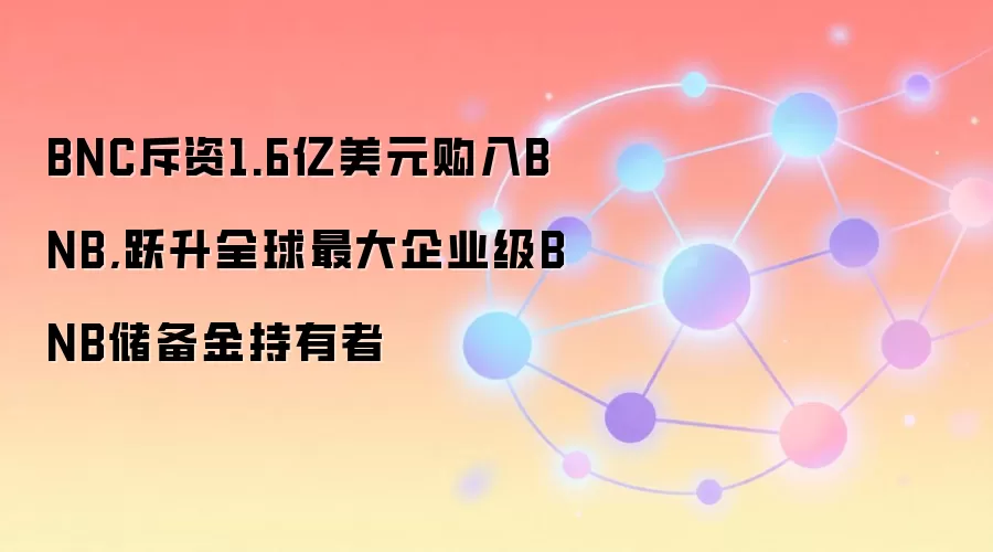 BNC斥资1.6亿美元购入BNB,跃升全球最大企业级BNB储备金持有者