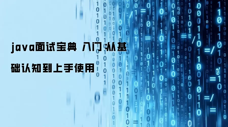 ja va面试宝典 入门:从基础认知到上手使用
