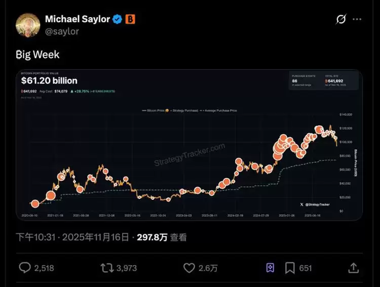 BTC持仓大户失声,DAT股票承压下行