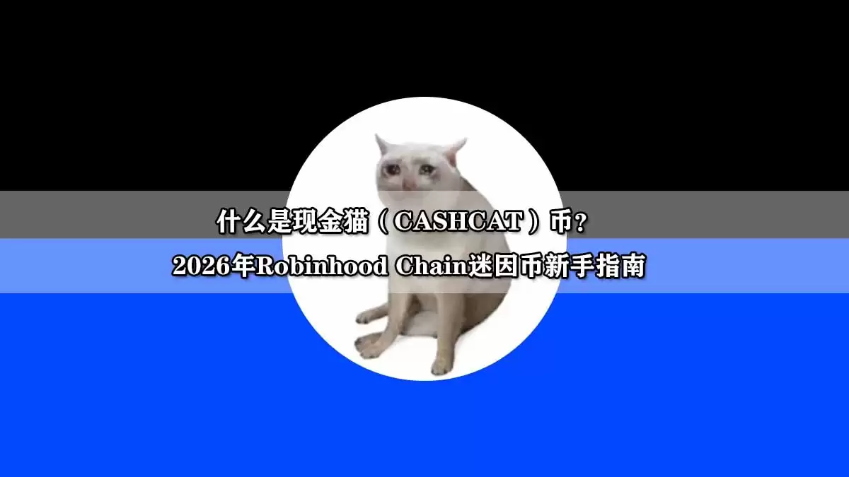 什么是现金猫(CASHCAT)币?2026年Robinhood Chain迷因币新手指南