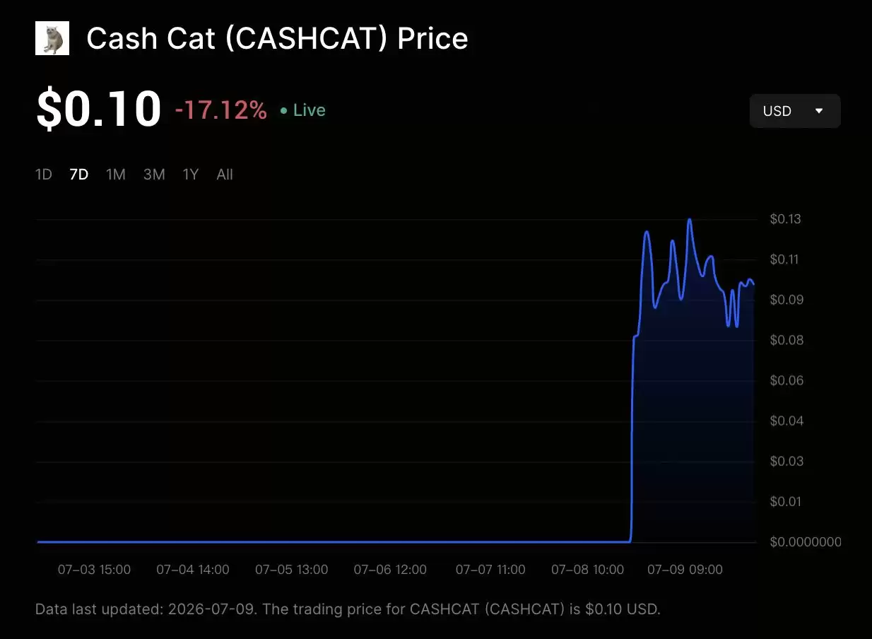 什么是现金猫(CASHCAT)币?2026年Robinhood Chain迷因币新手指南