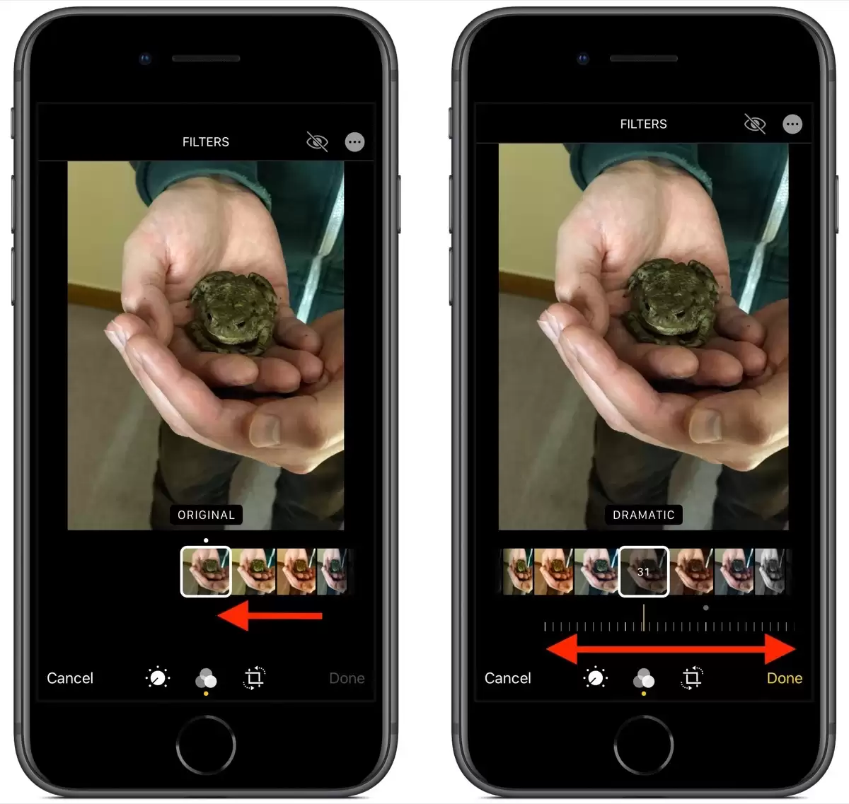 iOS 13 教程:如何调整应用于照片中的图像滤镜? iOS 13 教程:如何调整应用于照片中的图像滤镜?