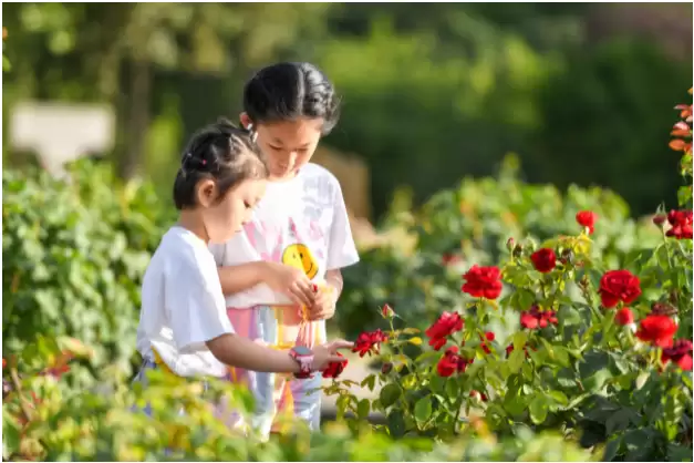 2021融创北京集团 X 美好旅行节高燃来袭 共启盛夏欢乐之旅 2021融创北京集团 X 美好旅行节高燃来袭 共启盛夏欢乐之旅