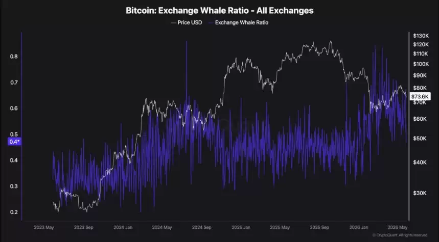 比特币(BTC)需求真空:鲸鱼买入停滞,ETF资金流入疲软
