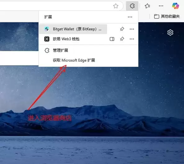 浏览器扩展商店搜索界面