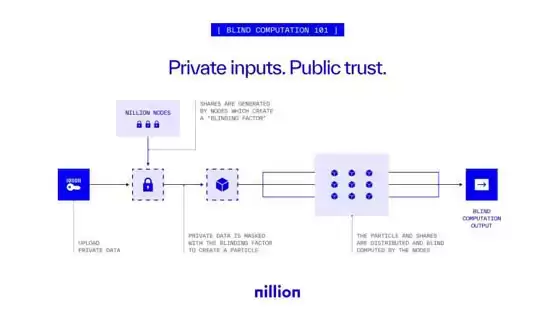 Nillion 隐私区块链项目完成 2500 万美元融资,推动盲计算技术应用