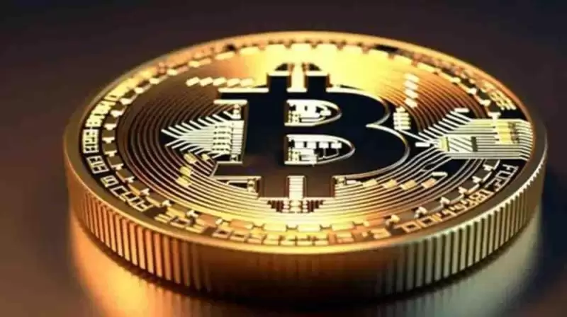 比特币期权历史波动率查询工具与数据平台