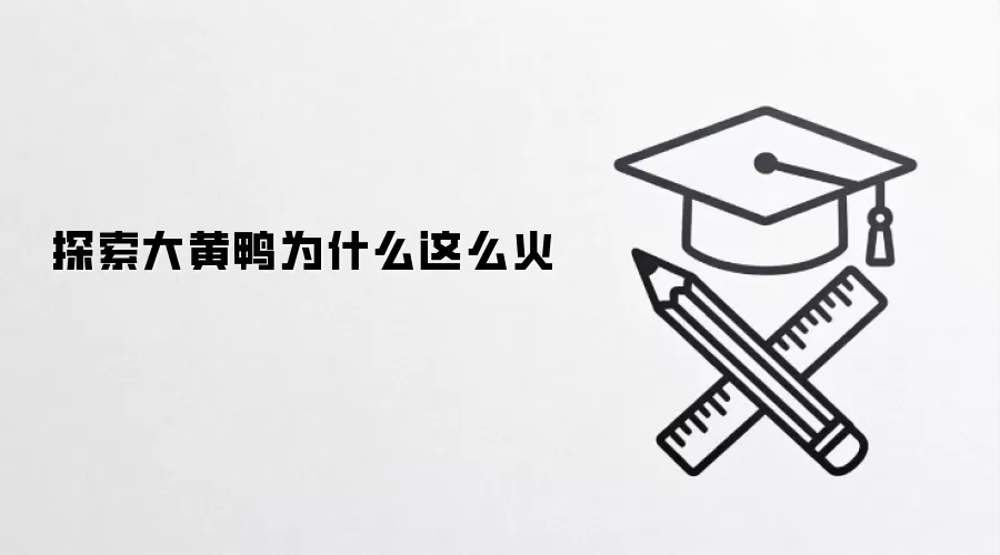 探索大黄鸭为什么这么火