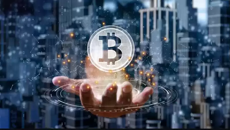 比特币市场周期逆转链上数据信号