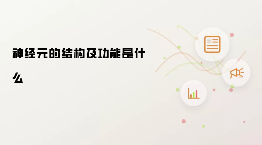 神经元的结构及功能是什么