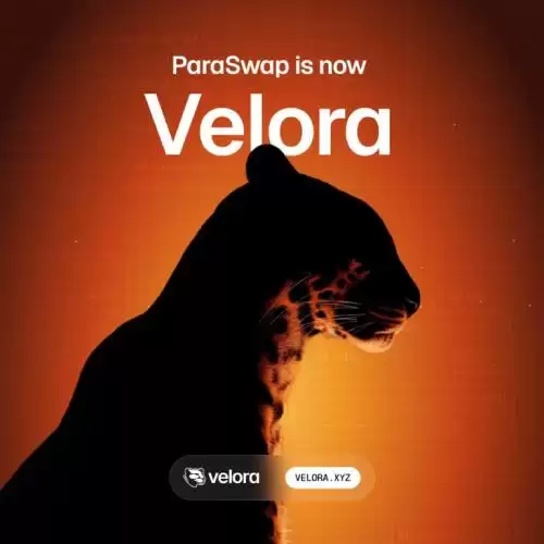 Velora(VLR)币全面介绍