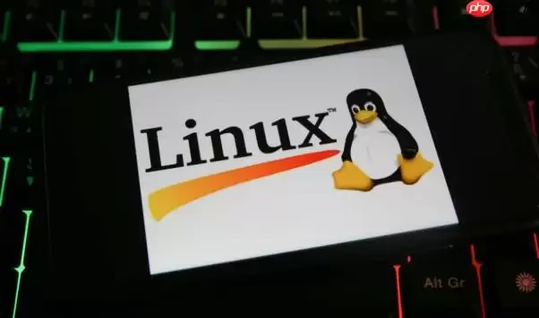Linux怎么安装和配置Baserow在线表格 Linux开源Airtable替代详解