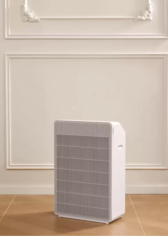 立式空气净化器哪个适合小户型？进口品牌横评