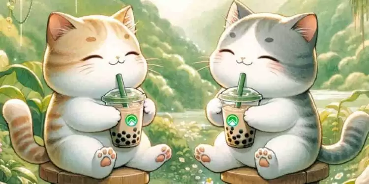 ZRC币是合法的吗?ZRC币前景怎么样?