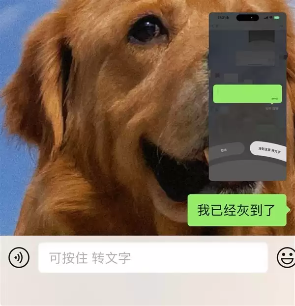 微信iOS版聊天输入框显示可按住转文字提示