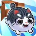 猫小盒2破解版