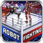 真实机器人格斗（Real Robot Ring Fighting）