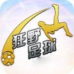 狂野足球