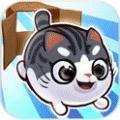 盒子里的猫2无限金币版