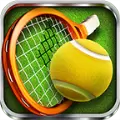 3D网球汉化中文版（Tennis 3D）