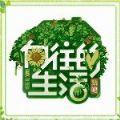 向往的生活手机版游戏