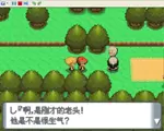 口袋妖怪钻石493中文版