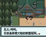 口袋妖怪:魂银493中文版